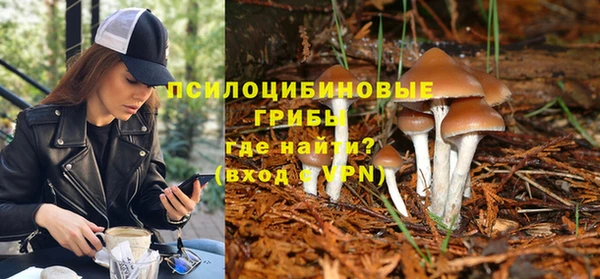 амфетамин Богородицк