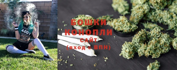 прущая мука Богданович
