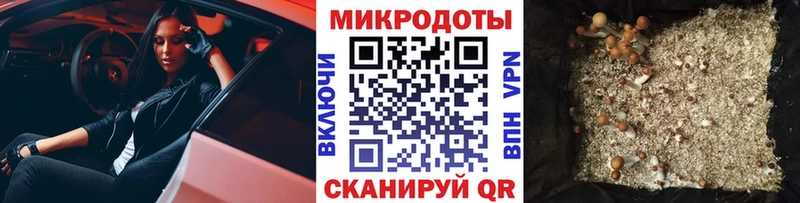 Псилоцибиновые грибы Cubensis  что такое наркотик  Юрга 